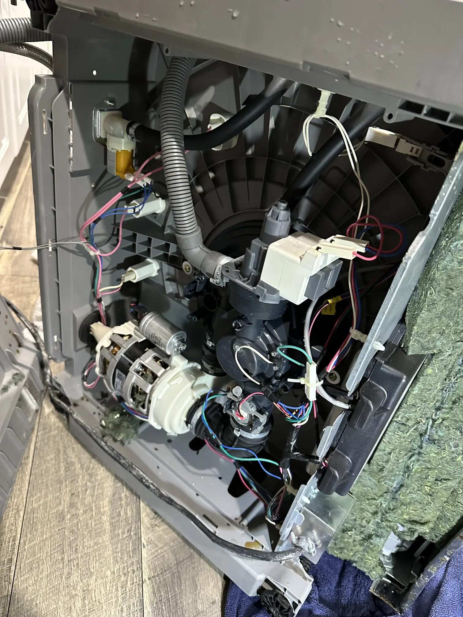 Professional Dishwasher Repair Services - InterTech
